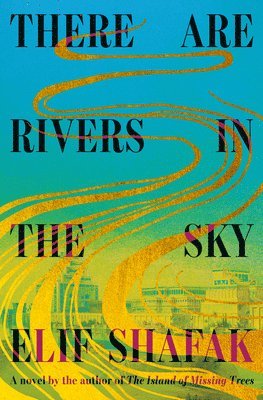 Elif Shafak - There Are Rivers in the Sky, Inbunden