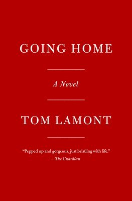 Going Home: A Novel of Boys, Mistakes, and Second Chances 1