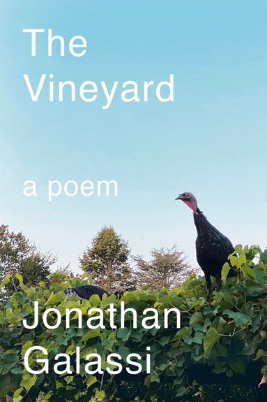 Jonathan Galassi - Vineyard, Inbunden