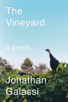 Jonathan Galassi - Vineyard, Inbunden