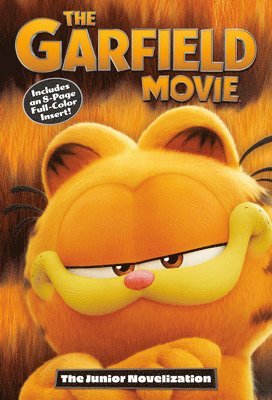 The Garfield Movie: The Junior Novelization 1