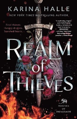 bokomslag Realm of Thieves