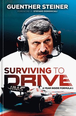 Surviving to Drive: A Year Inside Formula 1: An F1 Book 1