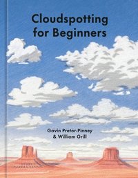 bokomslag Cloudspotting for Beginners