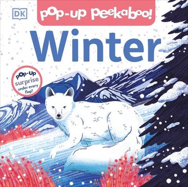 bokomslag Pop-Up Peekaboo! Winter