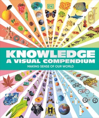 bokomslag Knowledge a Visual Compendium
