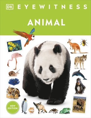 bokomslag Eyewitness Animal