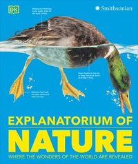 bokomslag Explanatorium of Nature