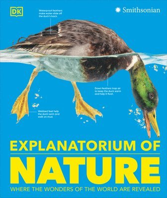 Dk - Explanatorium of Nature: Where the Wonders of the World Are Revealed, Inbunden