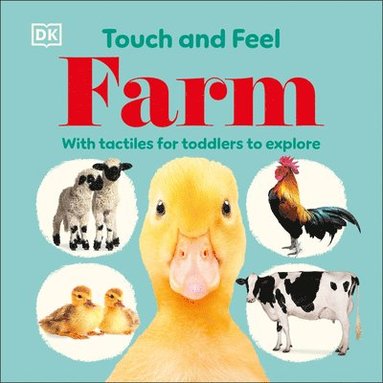 bokomslag Touch and Feel Farm