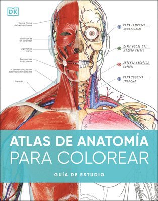 bokomslag Atlas de Anatomía Para Colorear (the Human Body Coloring Book)