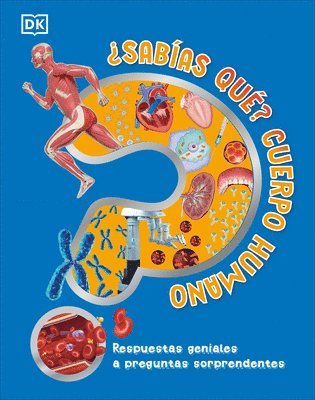 bokomslag Â¿sabã-As Quã(c)? Cuerpo Humano (Did You Know? Human Body)