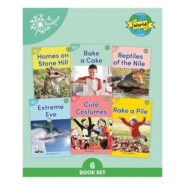 bokomslag Phonic Books Dandelion World Vce Spellings