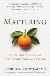 bokomslag Mattering: The Secret to a Life of Deep Connection and Purpose