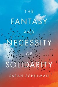 bokomslag The Fantasy and Necessity of Solidarity