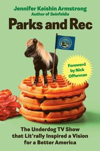 bokomslag Parks and Rec: The Underdog TV Show That Lit'rally Inspired a Vision for a Better America