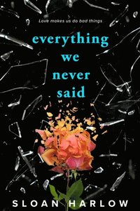 bokomslag Everything We Never Said