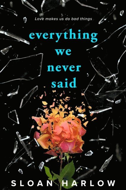 Everything We Never Said 1