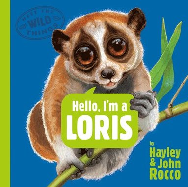 bokomslag Hello, I'm a Loris (Meet the Wild Things, Book 6)