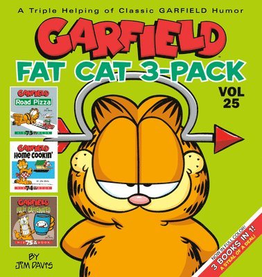 Garfield Fat Cat 3-Pack #25 1
