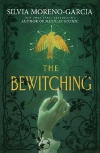 bokomslag The Bewitching
