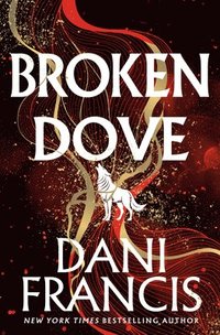 bokomslag Broken Dove
