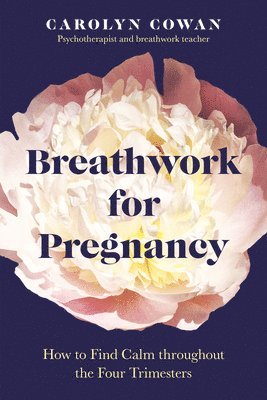 bokomslag Breathwork for Pregnancy: How to Find Calm Throughout the Four Trimesters