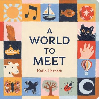bokomslag A World to Meet