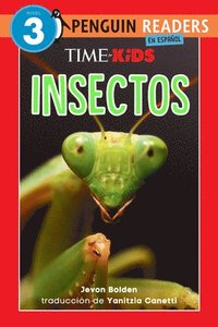 bokomslag Time for Kids: Insectos (Time for Kids: Insects Spanish Edition)