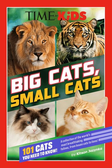 Kitson Jazynka, TIME for Kids - TIME for Kids: Big Cats, Small Cats, Häftad