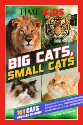 bokomslag Time for Kids: Big Cats, Small Cats: 101 Cats You Need to Know!