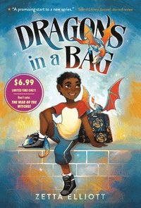 bokomslag Dragons in a Bag