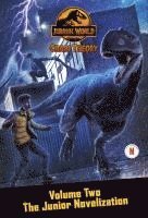 bokomslag Chaos Theory, Volume Two: The Junior Novelization