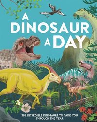 bokomslag A Dinosaur a Day