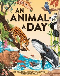 bokomslag An Animal a Day: 365 Amazing Animals to Take You Through the Year