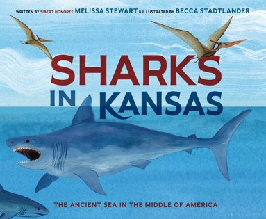 Melissa Stewart, Becca Stadtlander - Sharks in Kansas, Inbunden