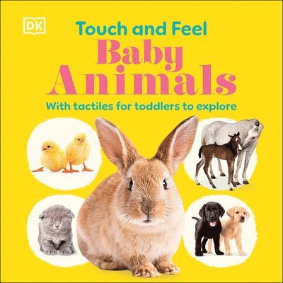 Touch and Feel Baby Animals 1