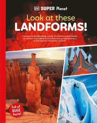 bokomslag DK Super Planet Look at These Landforms!
