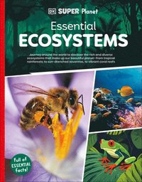 bokomslag DK Super Planet Essential Ecosystems