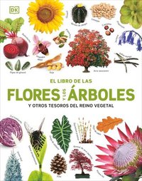 bokomslag El Libro de Las Flores Y Los Árboles (Our World in Pictures: Trees, Leaves, Flowers & Seeds)