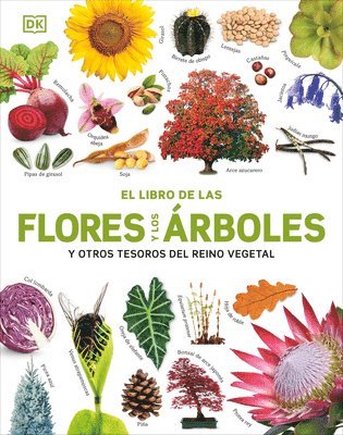 bokomslag El Libro de Las Flores Y Los Àrboles (Our World in Pictures: Trees, Leaves, Flowers & Seeds)