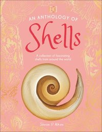 bokomslag An Anthology of Shells: A Collection of Fascinating Shells from Around the World