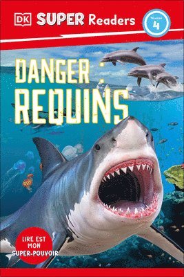 bokomslag DK Super Readers Level 4 French Translation: Shark Attack - Danger: Requins