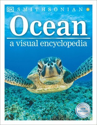 Ocean 1
