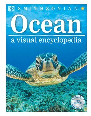 Ocean 1