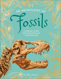 bokomslag An Anthology of Fossils: A Collection of Plant and Animal Fossils from Around the World