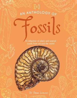 Dean Lomax - An Anthology of Fossils: A Collection of Plant and Animal Fossils from Around the World, Inbunden