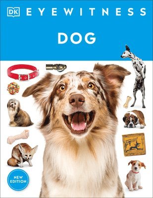 bokomslag Eyewitness Dog