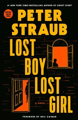 bokomslag Lost Boy Lost Girl