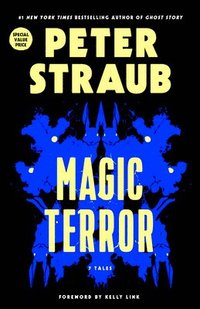 bokomslag Magic Terror